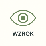 Wzrok
