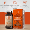 Focus Supplements Boswellia Serrata (Kadzidłowiec) 120 Kapsułek po 2000mg