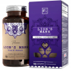 Focus Supplements Soplówka Jeżowata Lion's Mane Ekstrakt 5:1 90 Kapsułek po 500mg