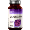 Lactobacillus Salivarius 90 kapsułek po 5 MLD CFU