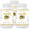 Natural Herbs Karczoch – Ekstrakt 600 mg | 120 kapsułek
